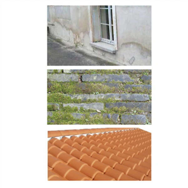 Traitements Des Toitures Traitement Curatif Et Préventif Pour Toitures Et Façades Elos - Bidon De 20 Litres 2 Traitements Des Toitures Traitement Curatif Et Préventif Pour Toitures Et Façades Elos - Bidon De 20 Litres – Image 2