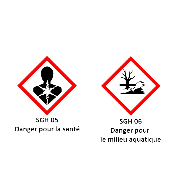 Traitement Du Bois Traitement Curatif Insecticide Bois - TX202 XP Cecil - Incolore - Bidon 5L 2 Traitement Du Bois Traitement Curatif Insecticide Bois - TX202 XP Cecil - Incolore - Bidon 5L – Image 2