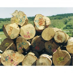 Peinture Traceur Forestier Fluo Marker 12 Mois Rouge Fluorescent Soppec 131313 -Chimique Soldes Boutique imageproduct372097 1