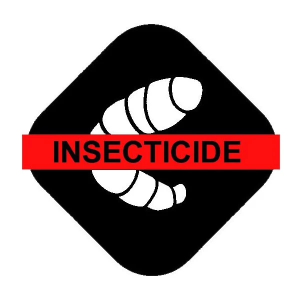 Traitement Du Bois Traitement Curatif Insecticide Bois - TX202 XP Cecil - Incolore - Bidon 5L 5 Traitement Du Bois Traitement Curatif Insecticide Bois - TX202 XP Cecil - Incolore - Bidon 5L – Image 5